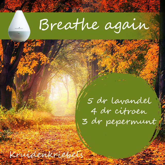 breathe again